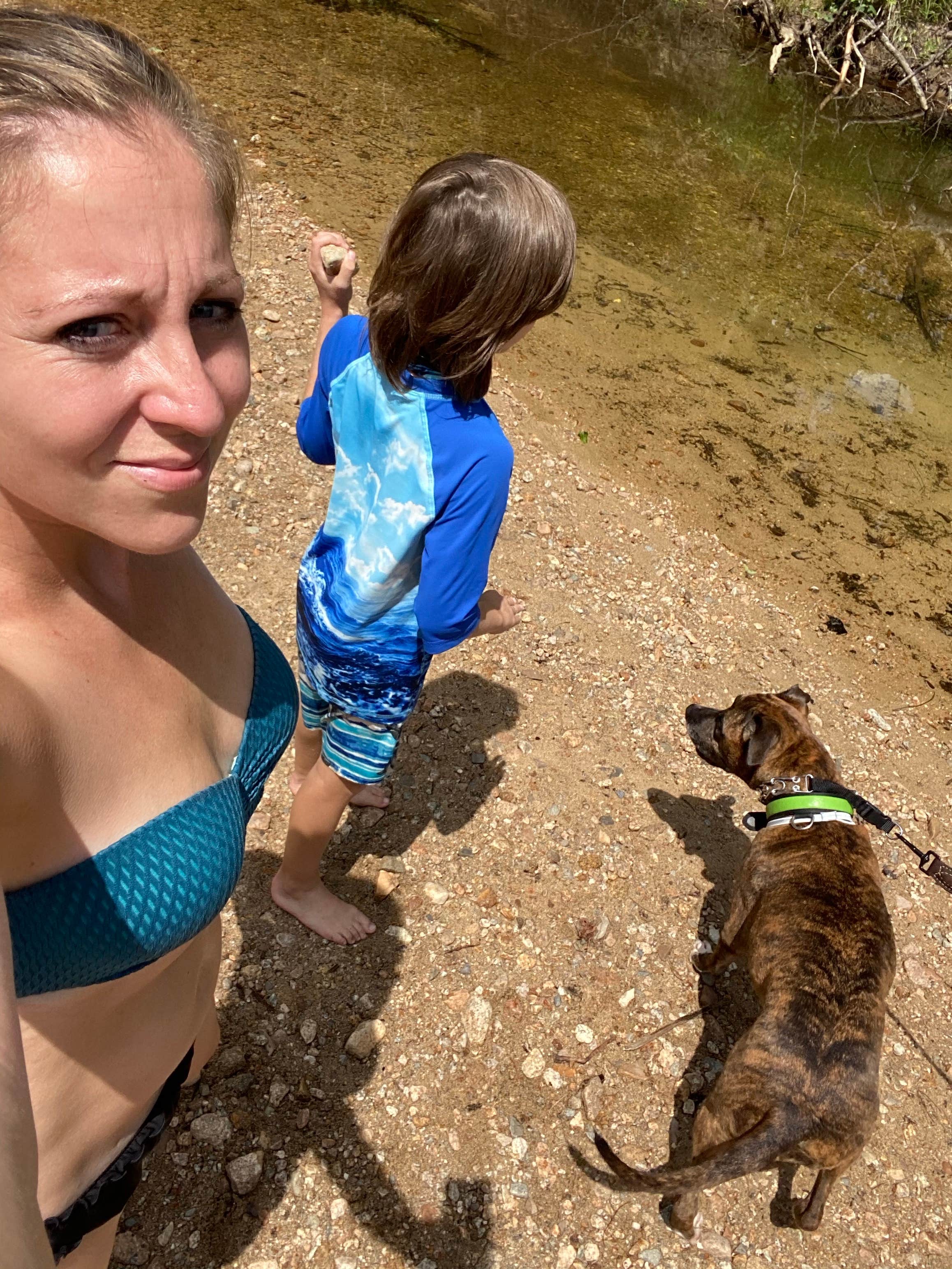 Sara C.'s photo of camping with pets at Jigger Johnson Campground near North Sandwich, NH