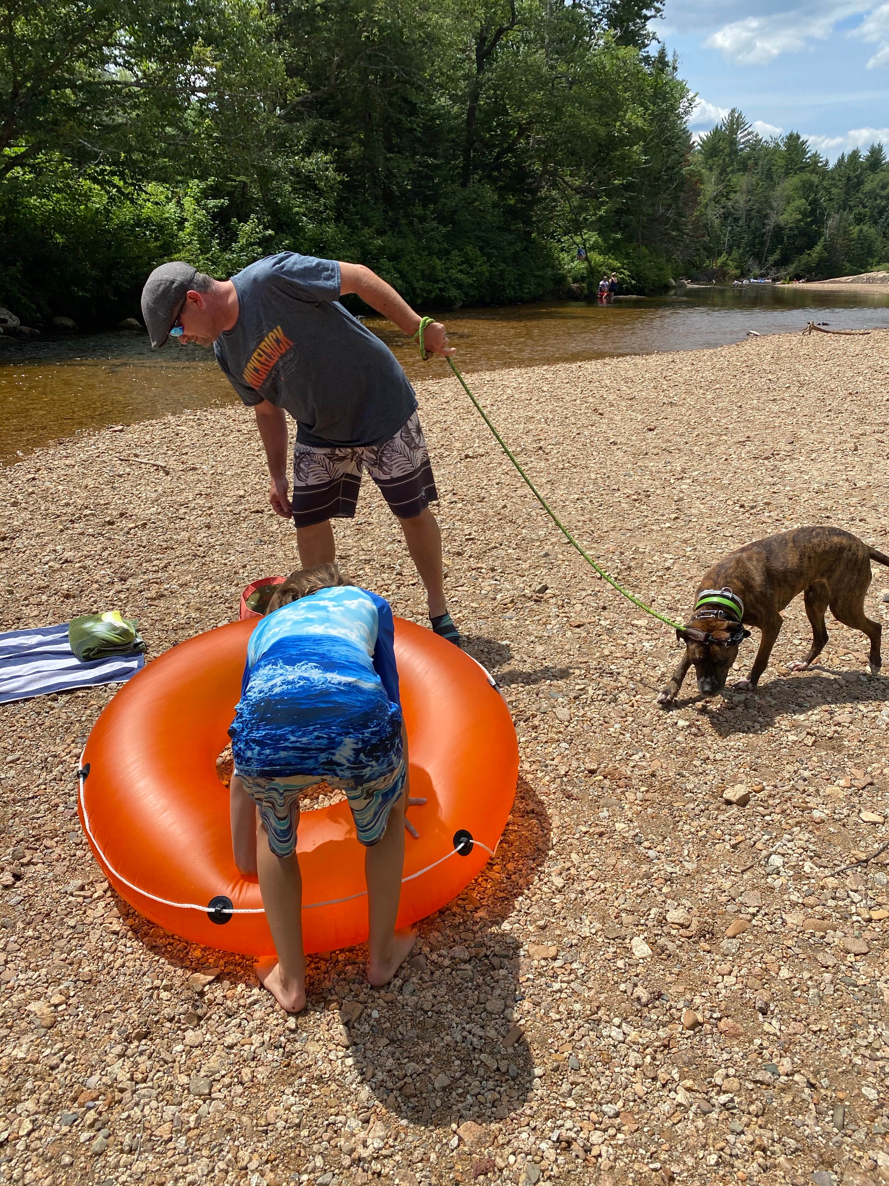 Sara C.'s photo of camping with pets at Jigger Johnson Campground near Madison, NH