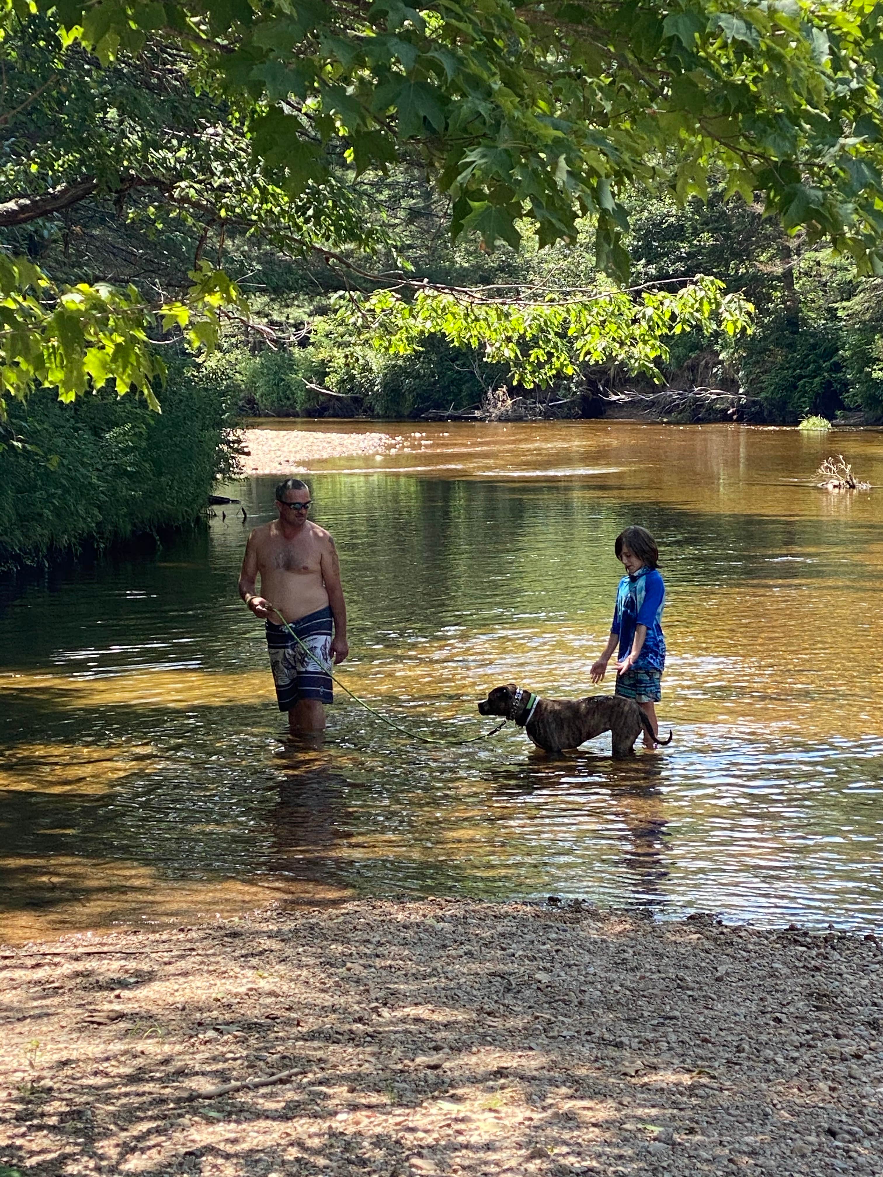 Sara D.'s photo of camping with pets at Jigger Johnson Campground near North Conway, NH