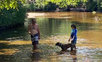 Sara D.'s photo of camping with pets at Jigger Johnson Campground near North Conway, NH