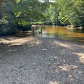 Review photo of Jigger Johnson Campground by Sara D., August 24, 2020