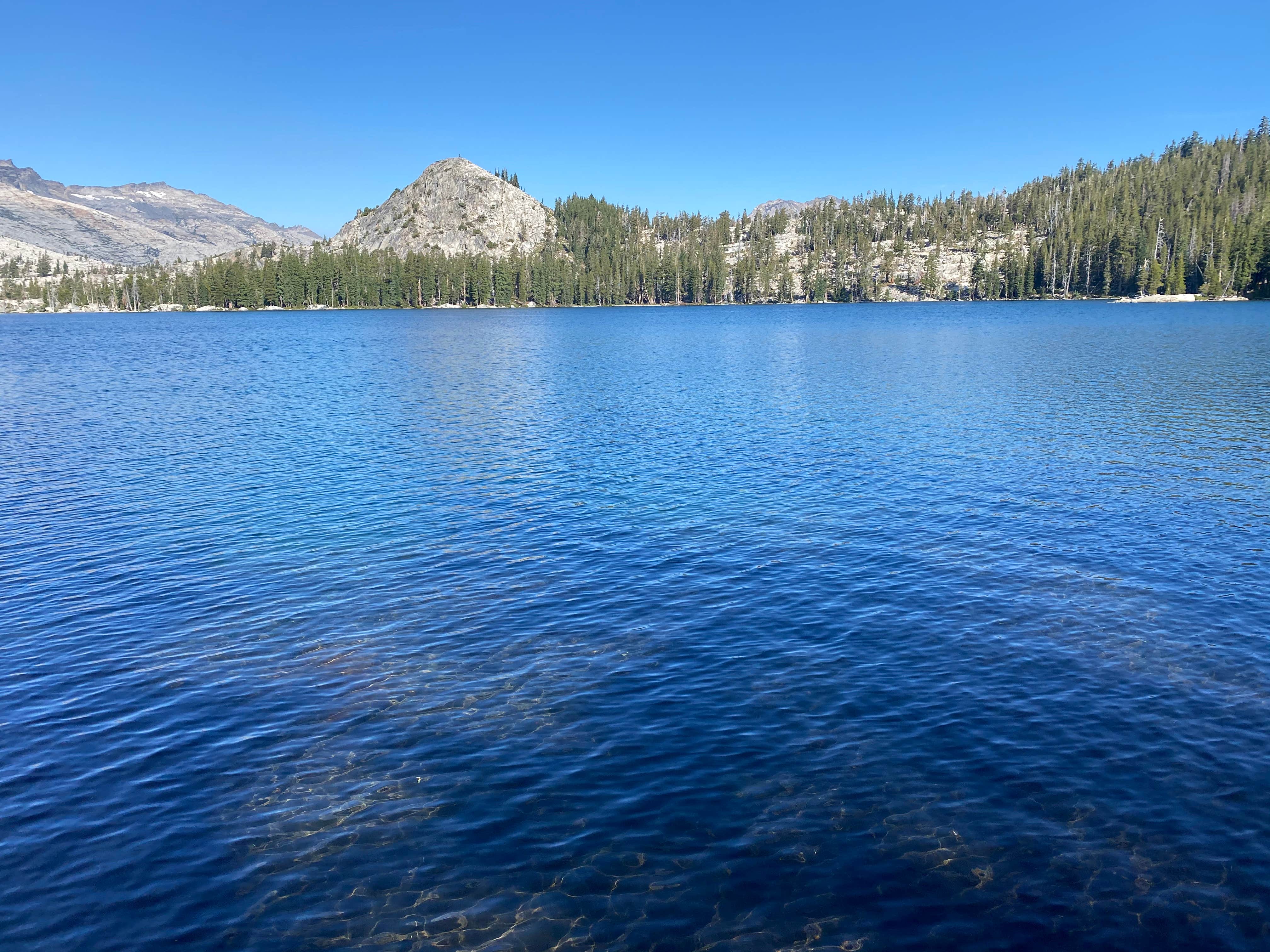 Camper-submitted photo at Desolation Wilderness - Aloha Zone near South Lake Tahoe, CA