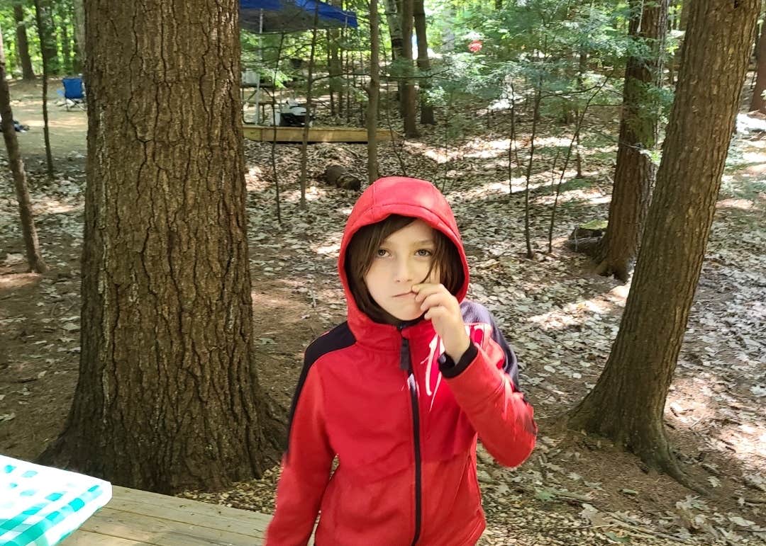 Gunstock Mountain Resort Camping The Dyrt