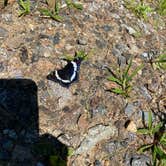 Review photo of Gunstock Campground by Sara D., August 24, 2020