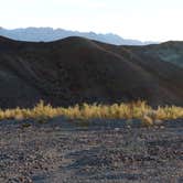 Review photo of Texas Springs Campground — Death Valley National Park by Lindsay B., May 6, 2018