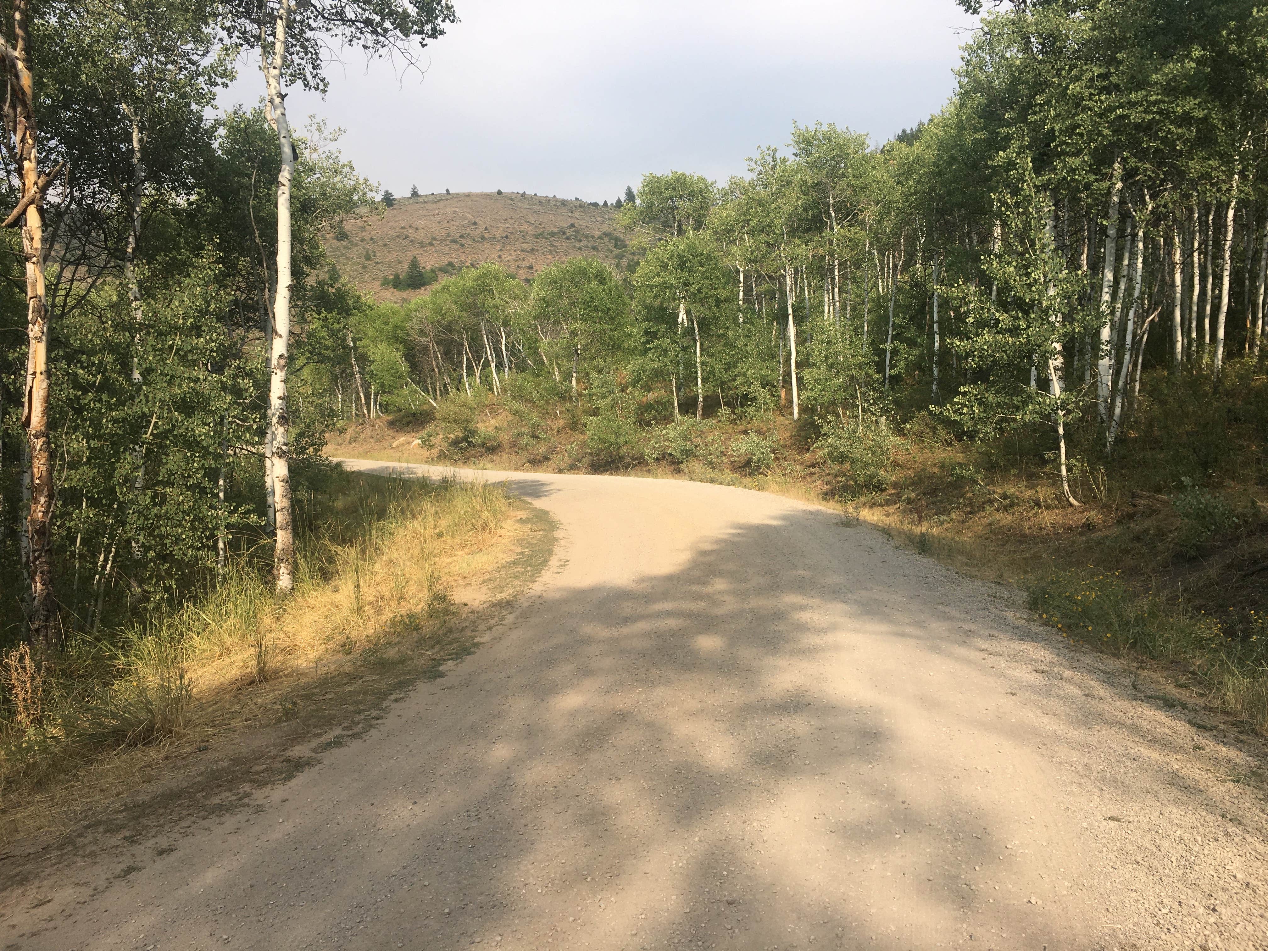 Camper submitted image from Lodge Campground (Ut) — Uinta Wasatch Cache National Forest - 2