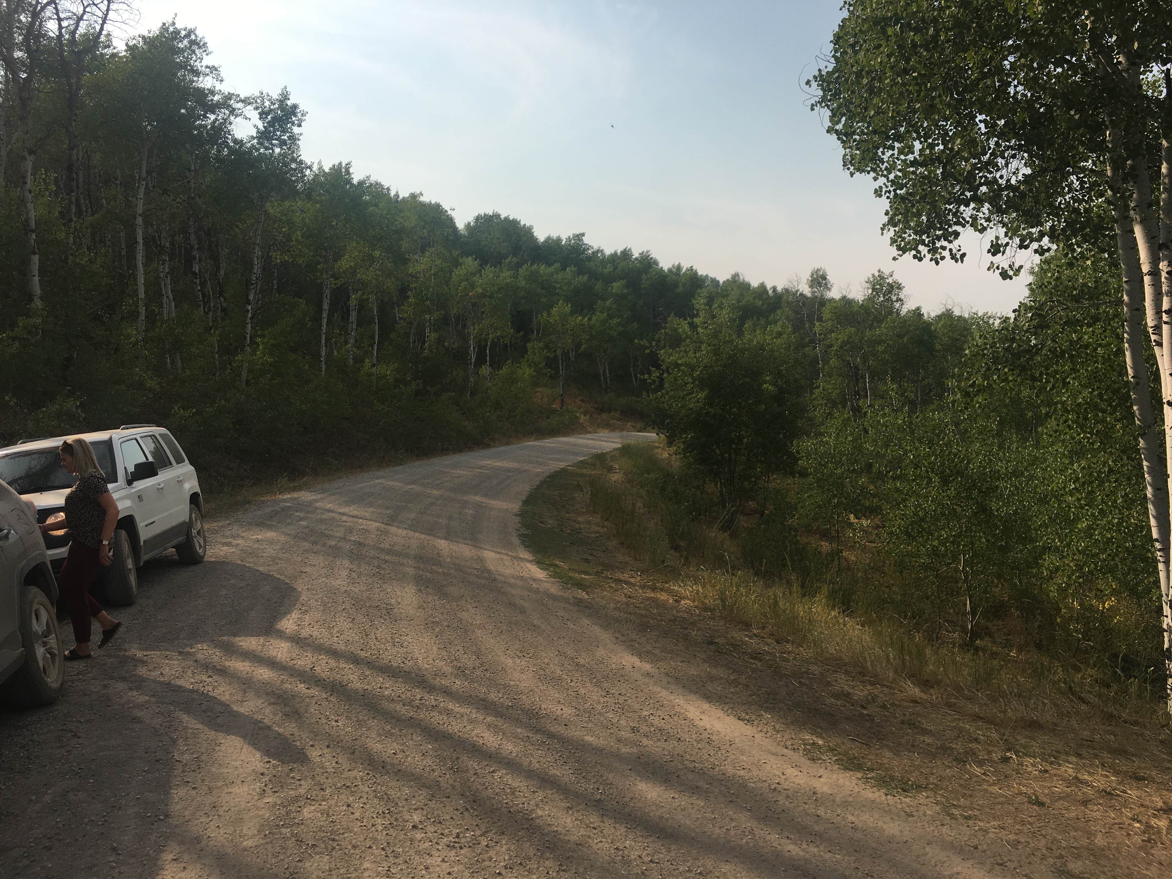 Camper submitted image from Lodge Campground (Ut) — Uinta Wasatch Cache National Forest - 4