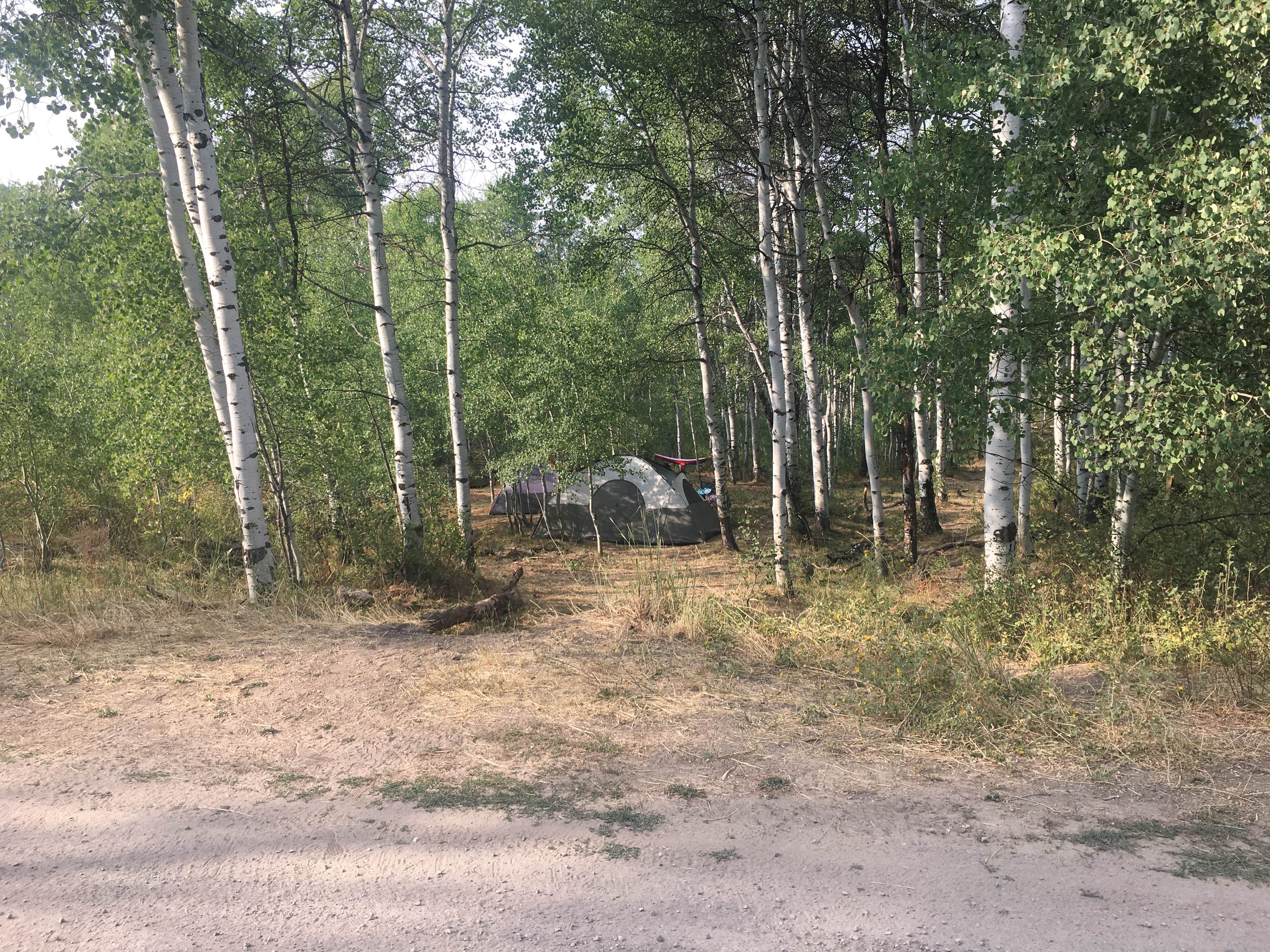 Camper submitted image from Lodge Campground (Ut) — Uinta Wasatch Cache National Forest - 5