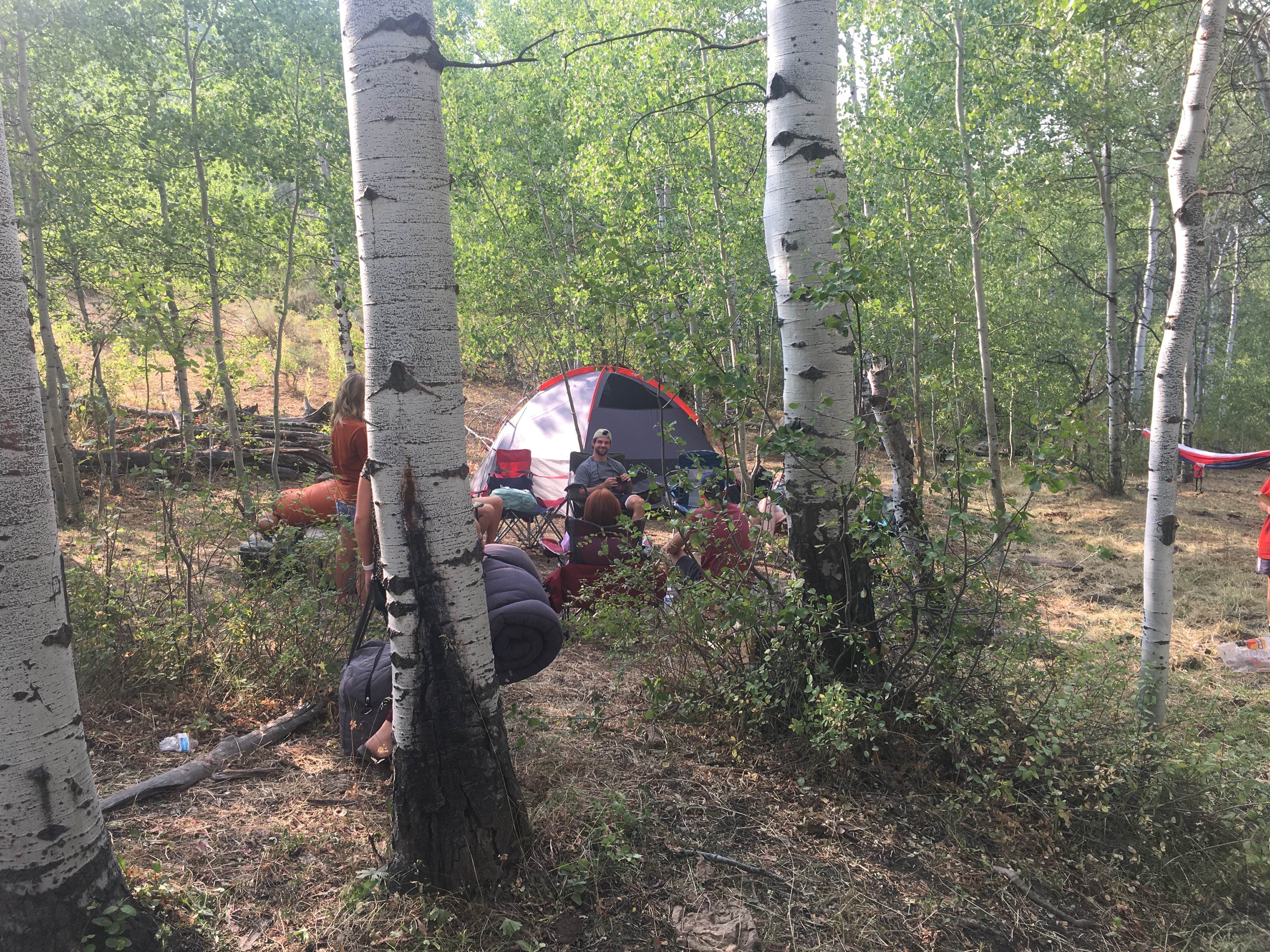 Camper submitted image from Lodge Campground (Ut) — Uinta Wasatch Cache National Forest - 3