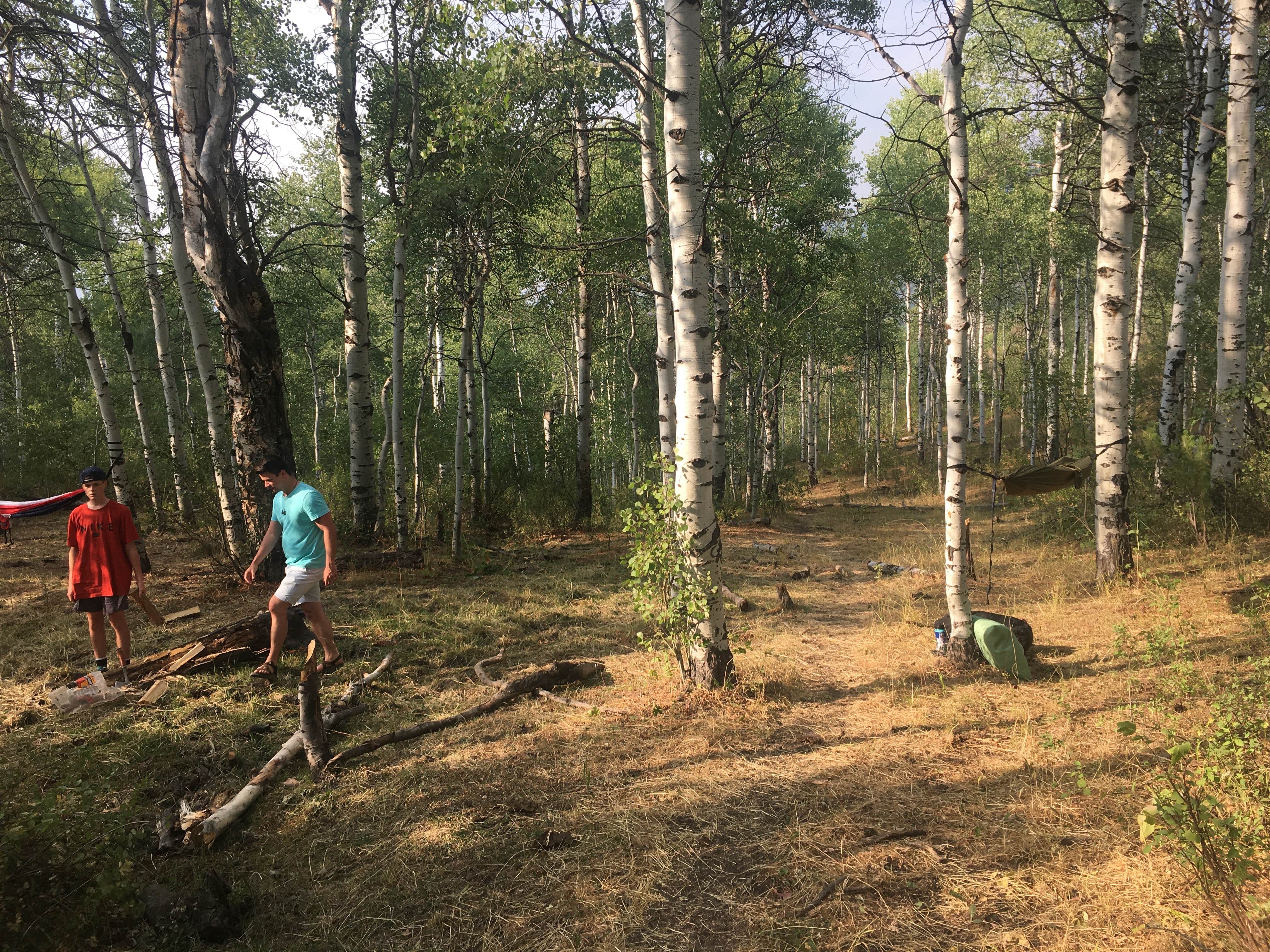 Camper submitted image from Lodge Campground (Ut) — Uinta Wasatch Cache National Forest - 2