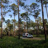 Review photo of Cary State Forest by David S., August 24, 2020