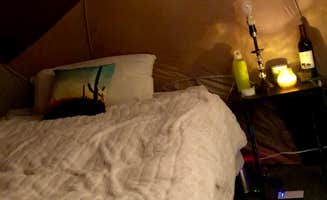 K L.'s photo of glamping accommodations at Jackson Wellsprings near Gold Hill, OR