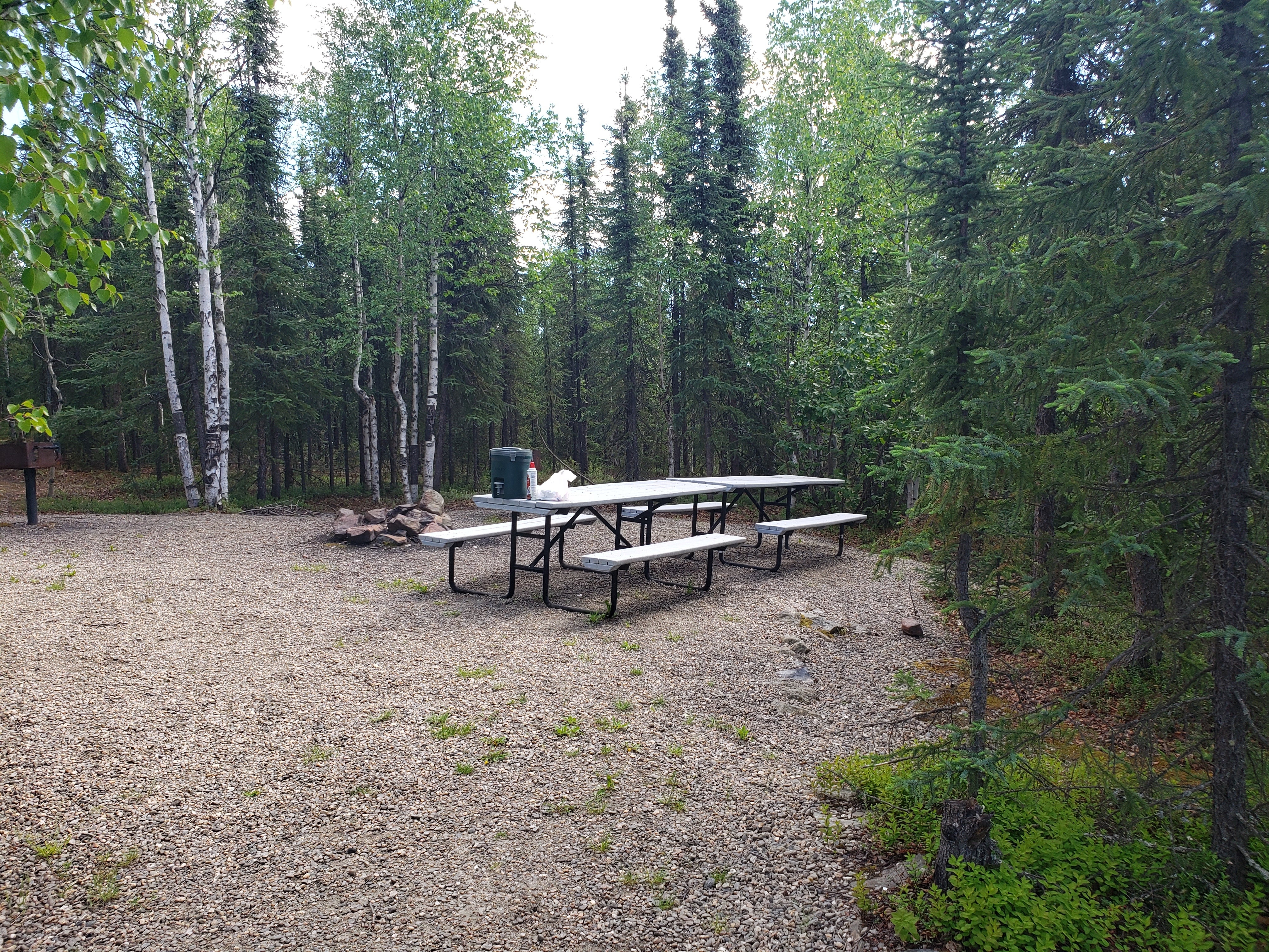 Camper submitted image from Chilkoot Lake State Recreation Site - 1