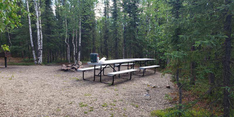 Camper submitted image from Chilkoot Lake State Recreation Site