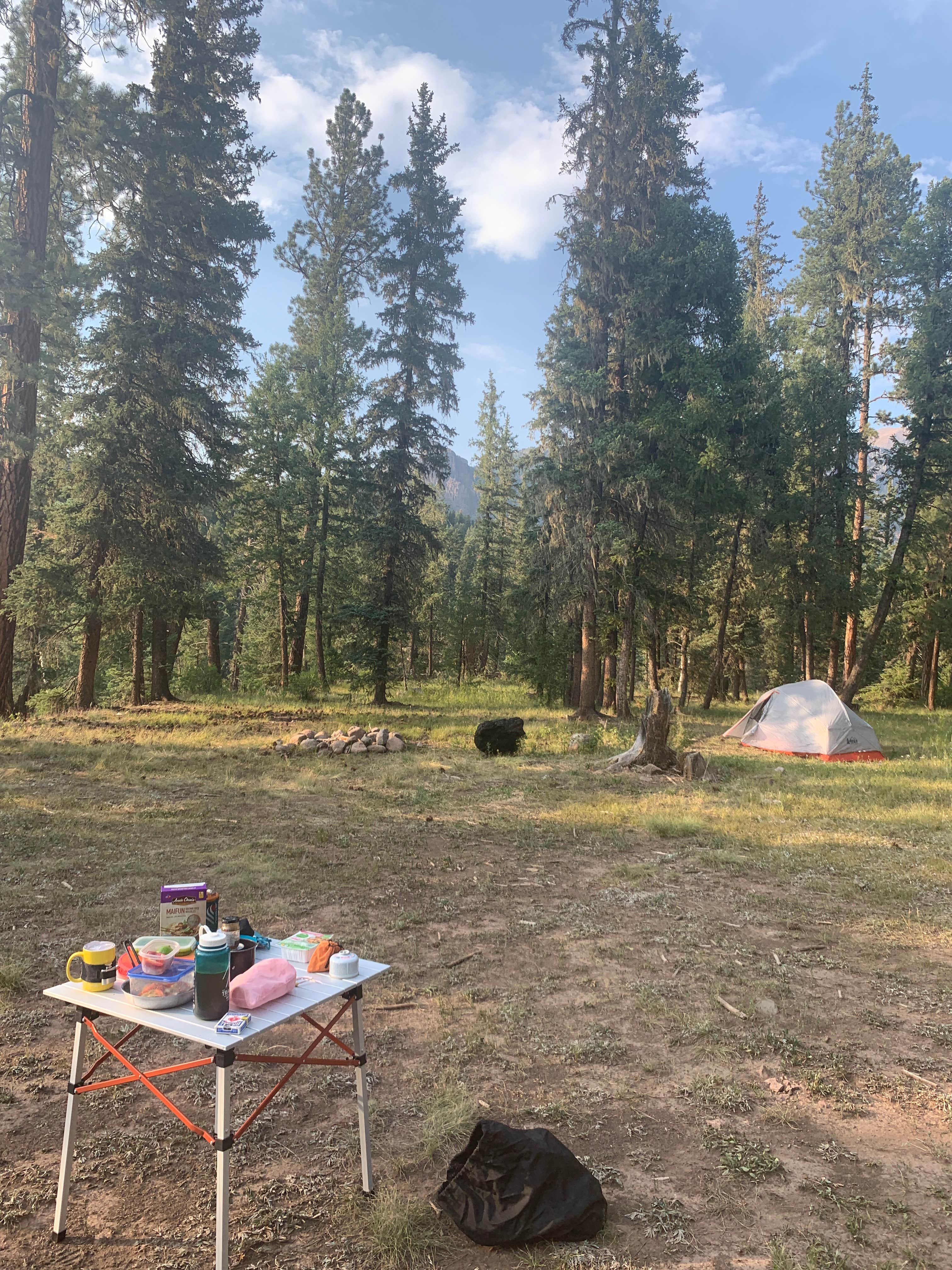 Lauren S.'s photo of a dispersed camping area at FS Road 631/633 near Pagosa Springs, CO