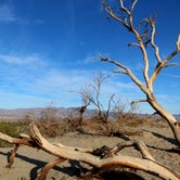 Review photo of Texas Springs Campground — Death Valley National Park by Lindsay B., May 6, 2018
