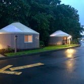 Review photo of Premier RV Resort by K L., August 24, 2020