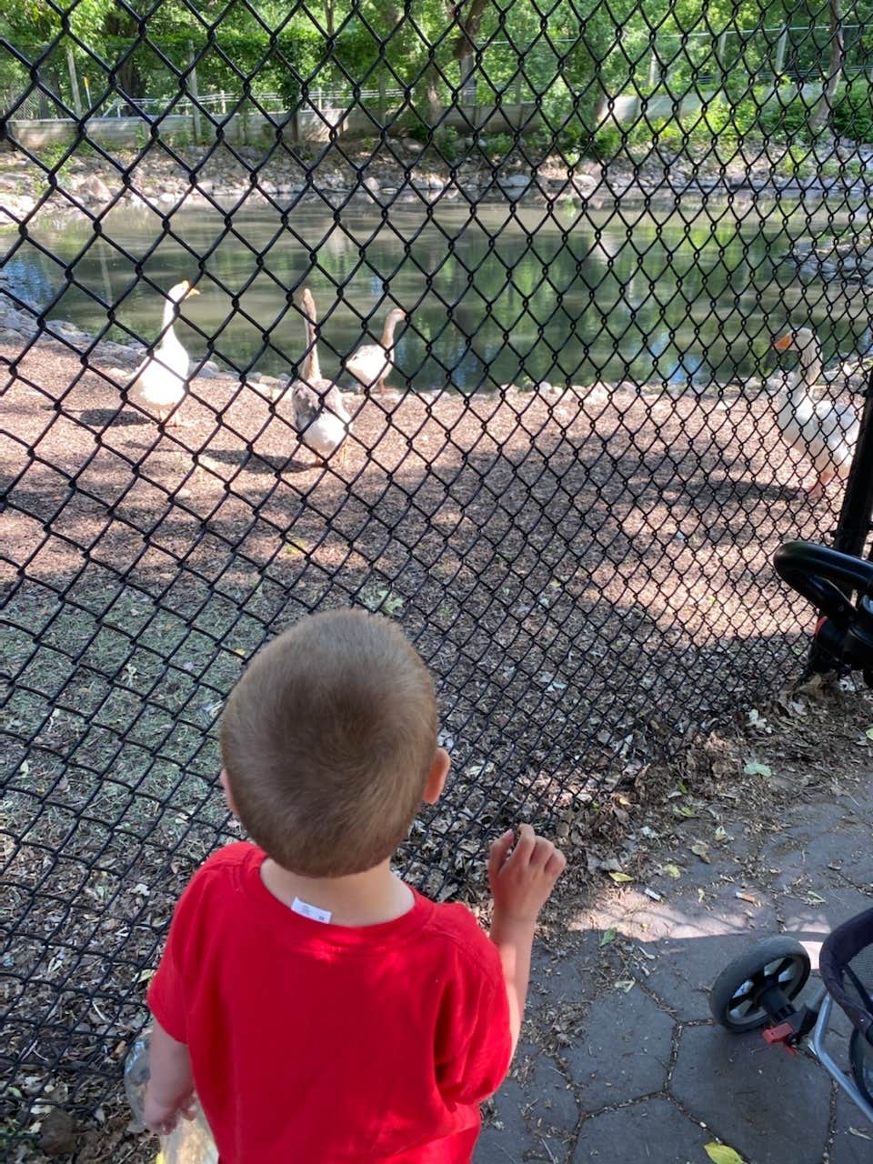 Camper-submitted photo at Alexander Ramsey Park near Morton, MN