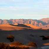 Review photo of Texas Springs Campground — Death Valley National Park by Lindsay B., May 6, 2018