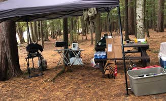 Joe T.'s photo of tent camping at Saranac Lake Islands Adirondack Preserve Campground near Eagle Bay, NY