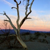 Review photo of Texas Springs Campground — Death Valley National Park by Lindsay B., May 6, 2018