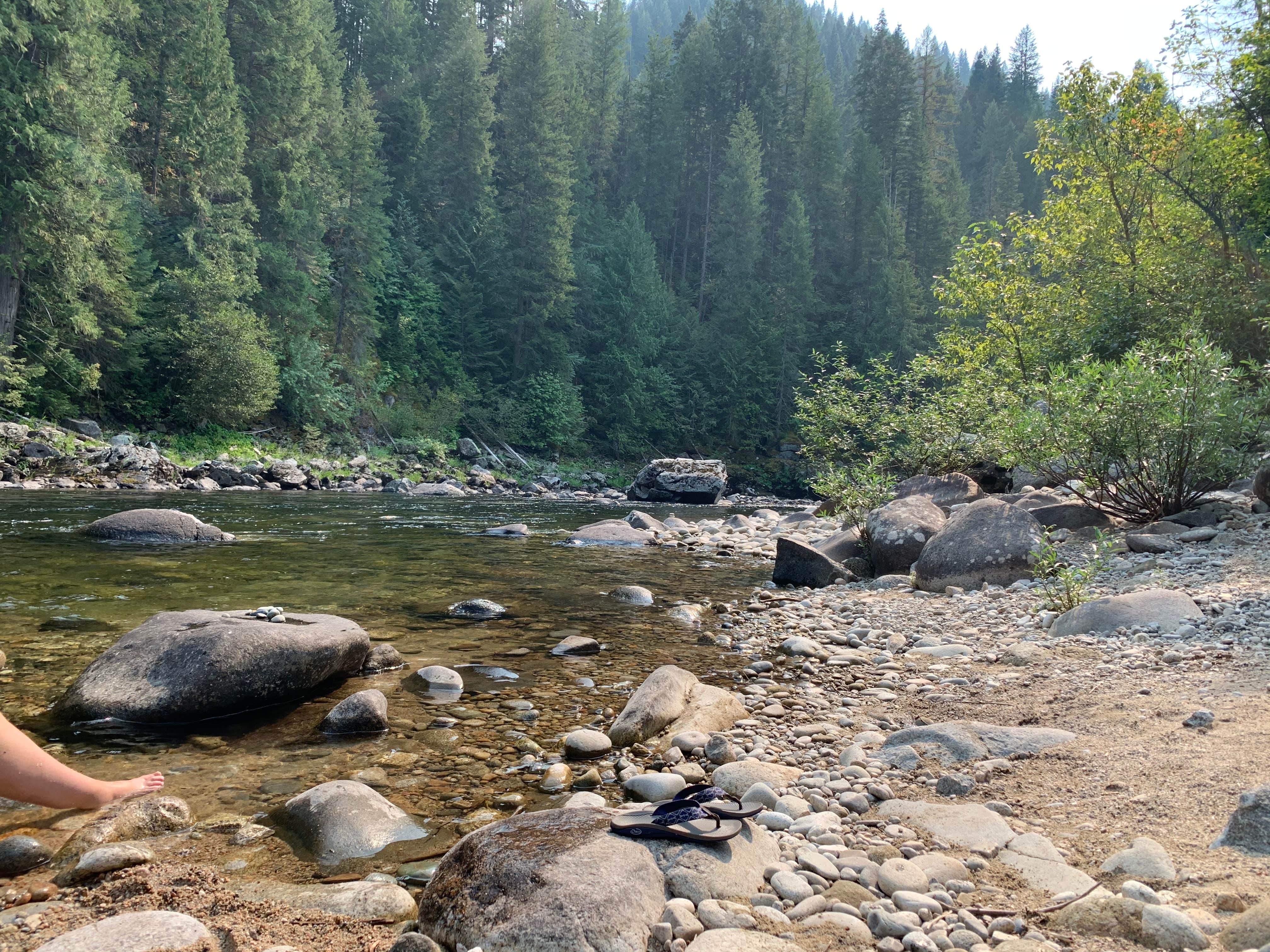 Camper submitted image from Wilderness Gateway - 2