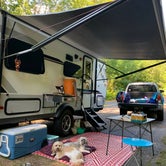 Review photo of Wilderness Gateway by Tracey  S., August 24, 2020