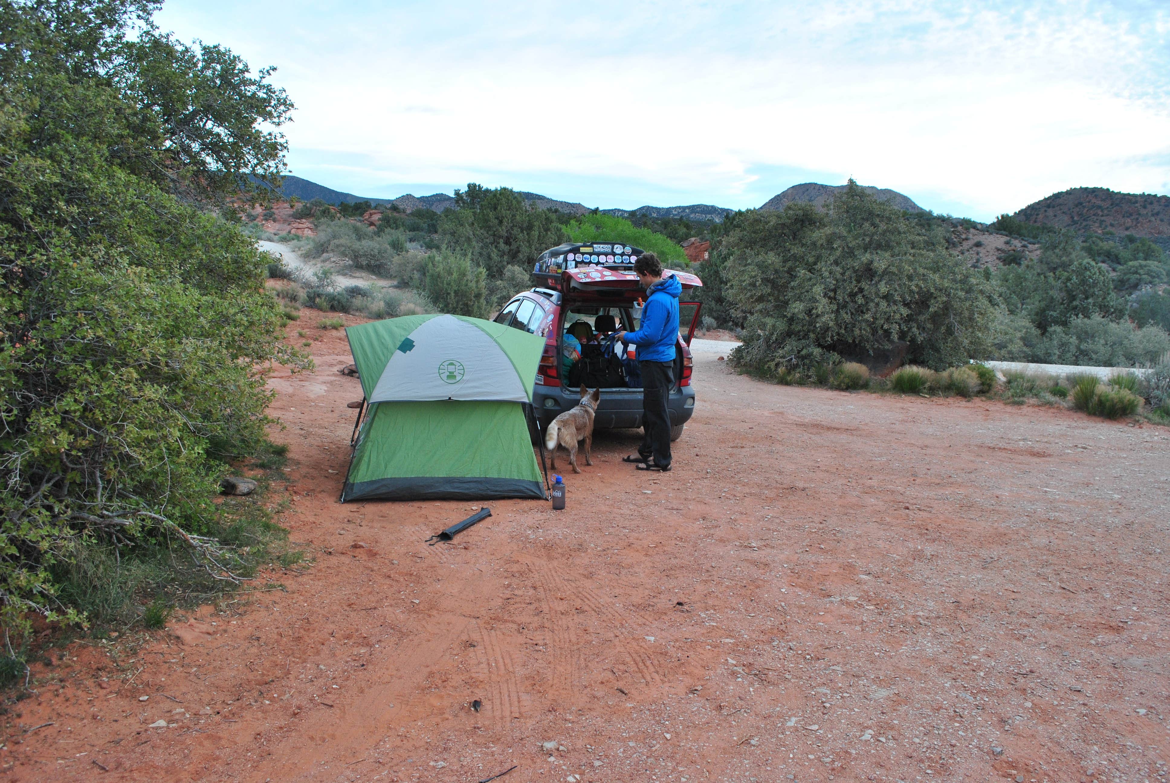 Camper submitted image from Dispersed Camping in Dixie National Forest - TEMPORARILY CLOSED - 5