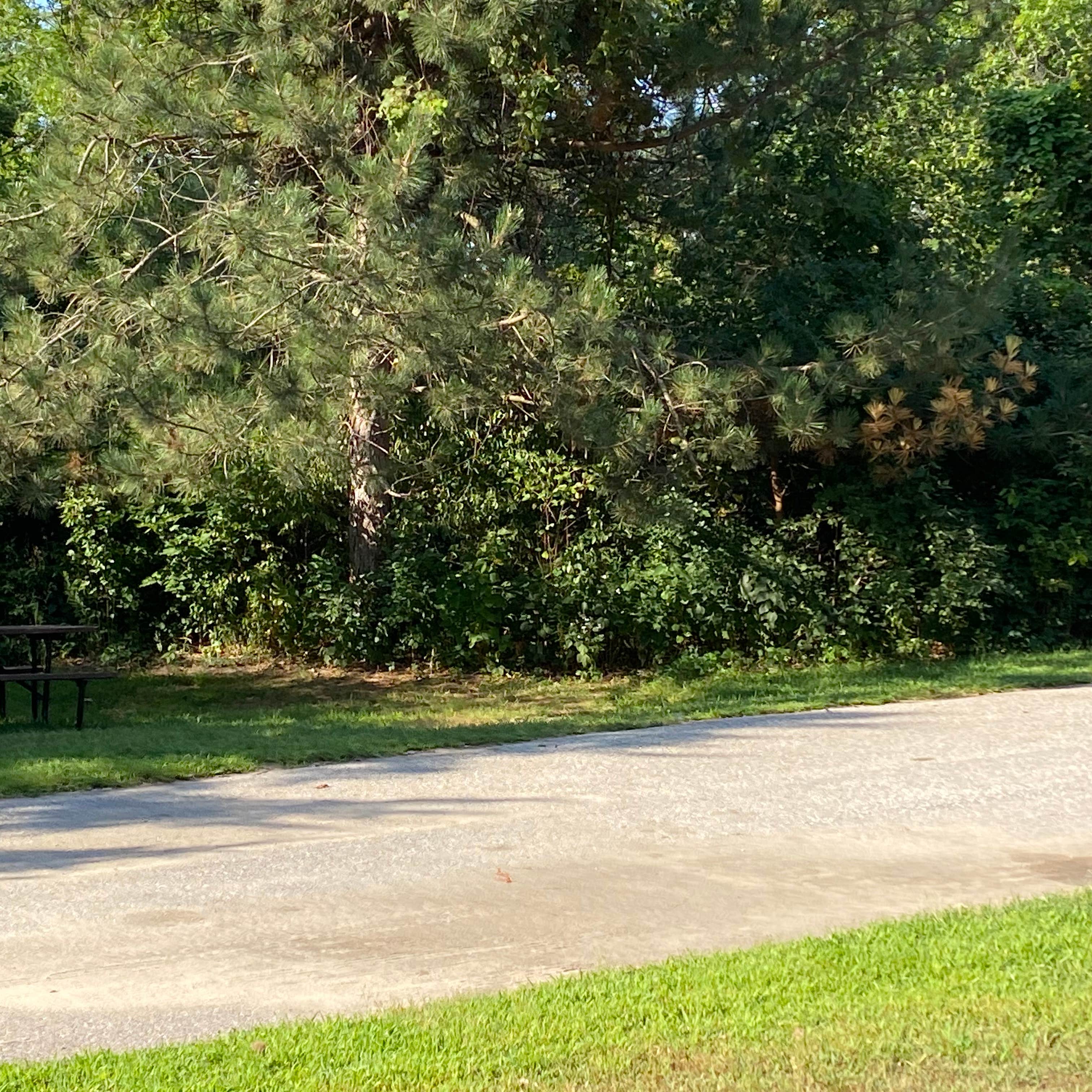 Oak Grove Campground Camping The Dyrt