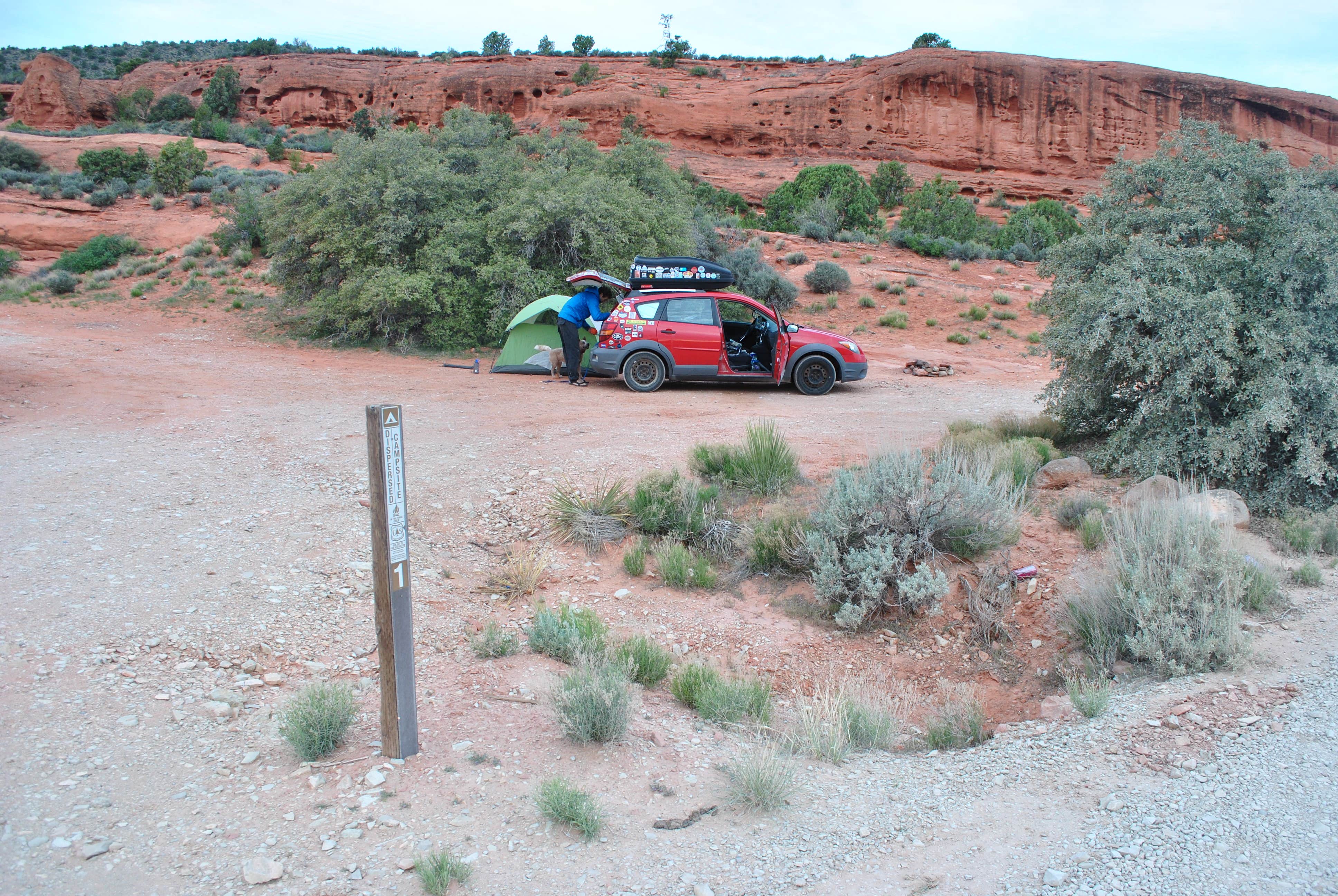 Camper submitted image from Dispersed Camping in Dixie National Forest - TEMPORARILY CLOSED - 3