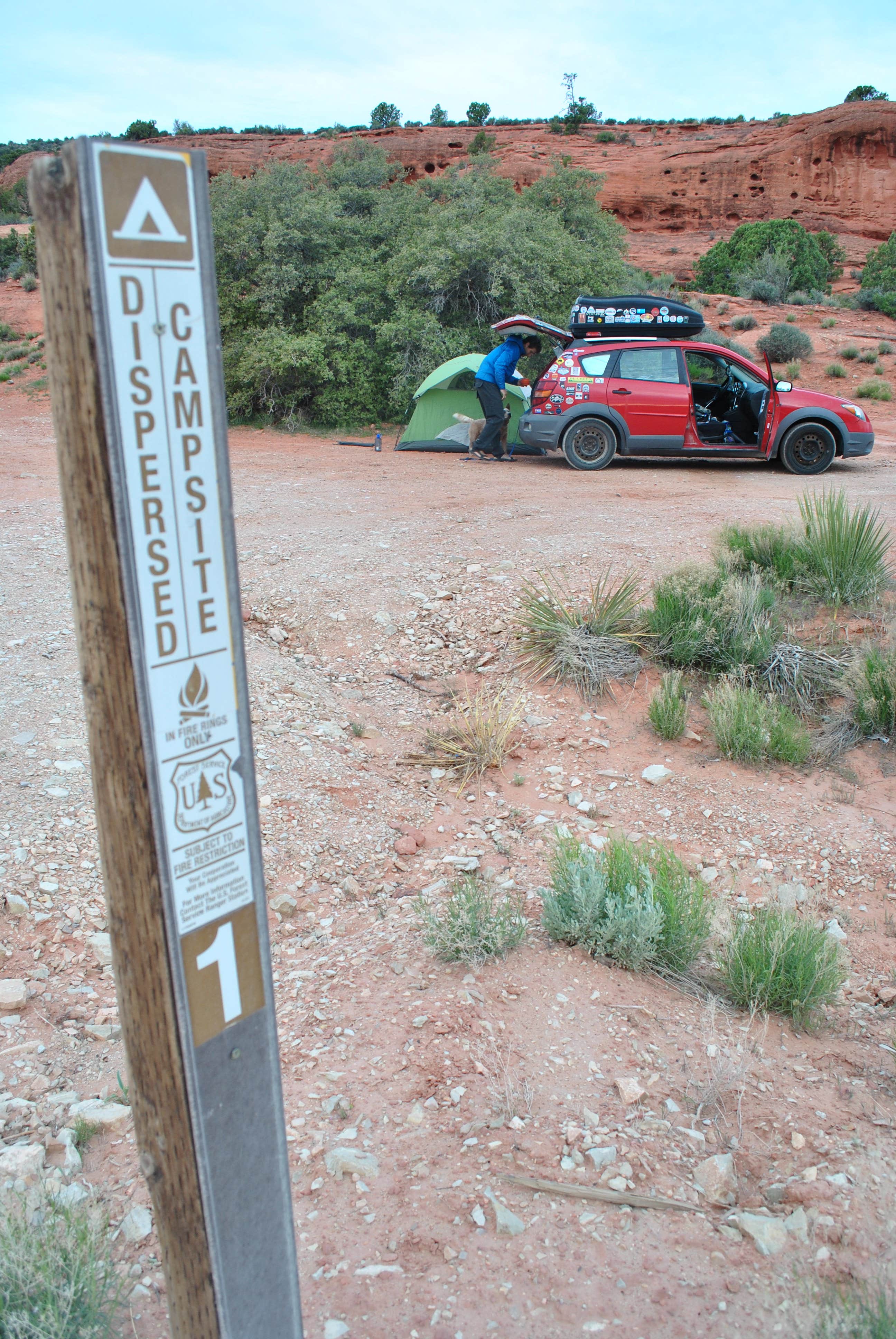 Camper submitted image from Dispersed Camping in Dixie National Forest - TEMPORARILY CLOSED - 1