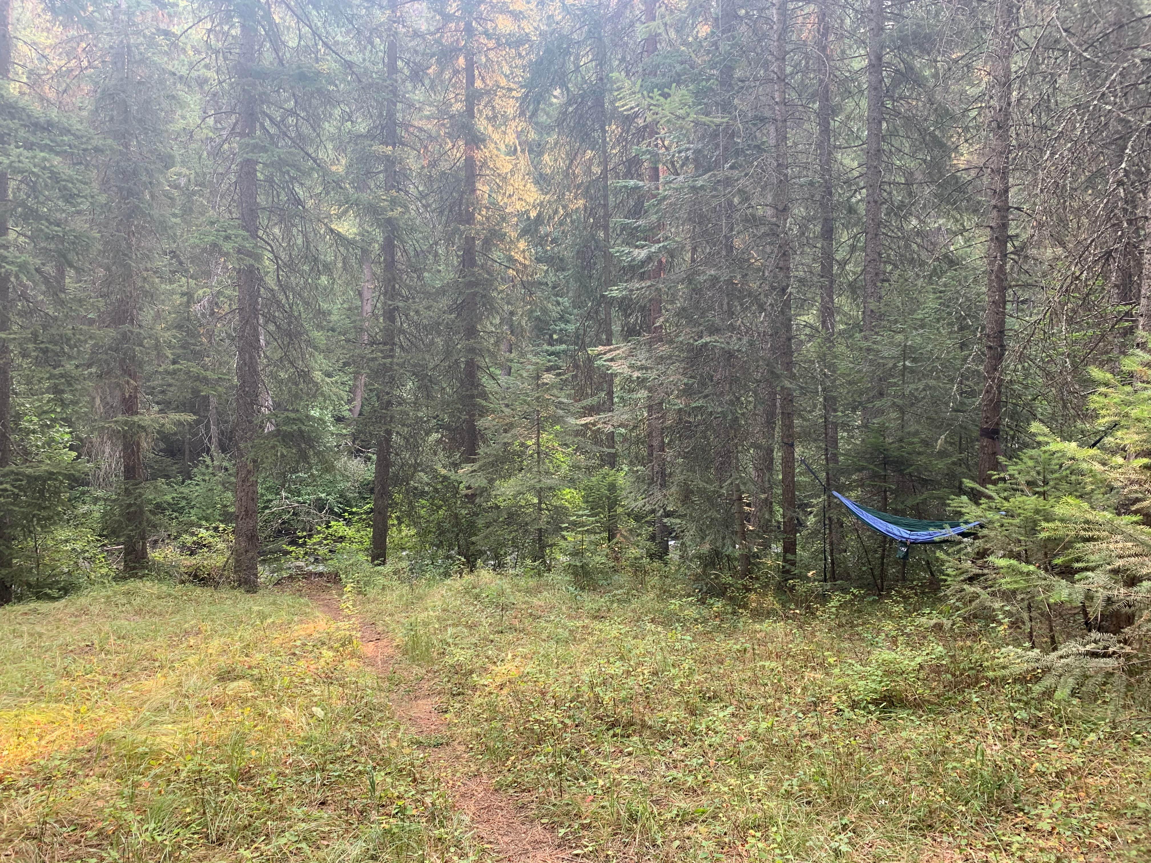 Camper-submitted photo at Blackhorse Campground near Oxbow, OR
