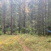 Review photo of Blackhorse Campground by Renae F., August 24, 2020