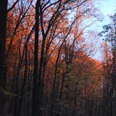Review photo of French Creek State Park Campground by Thomas H., July 6, 2016
