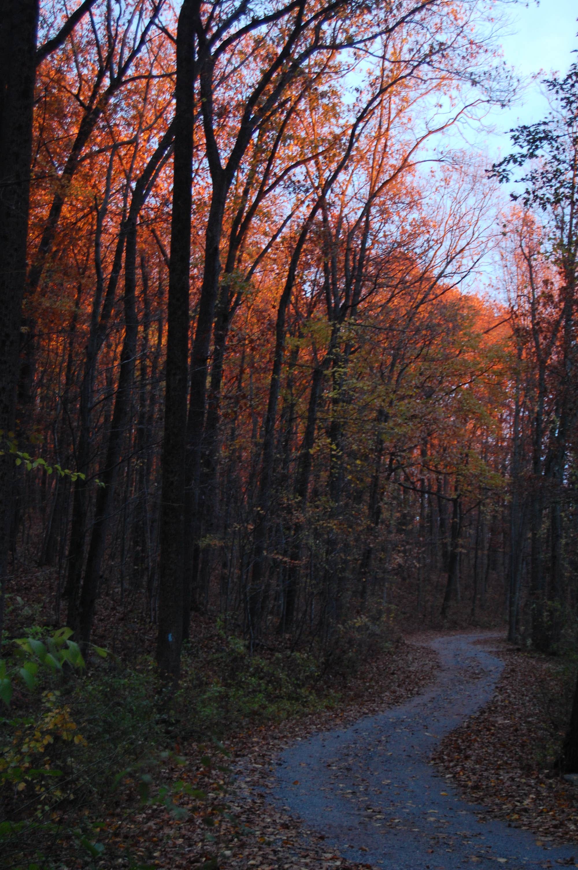 Camper submitted image from French Creek State Park Campground - 4