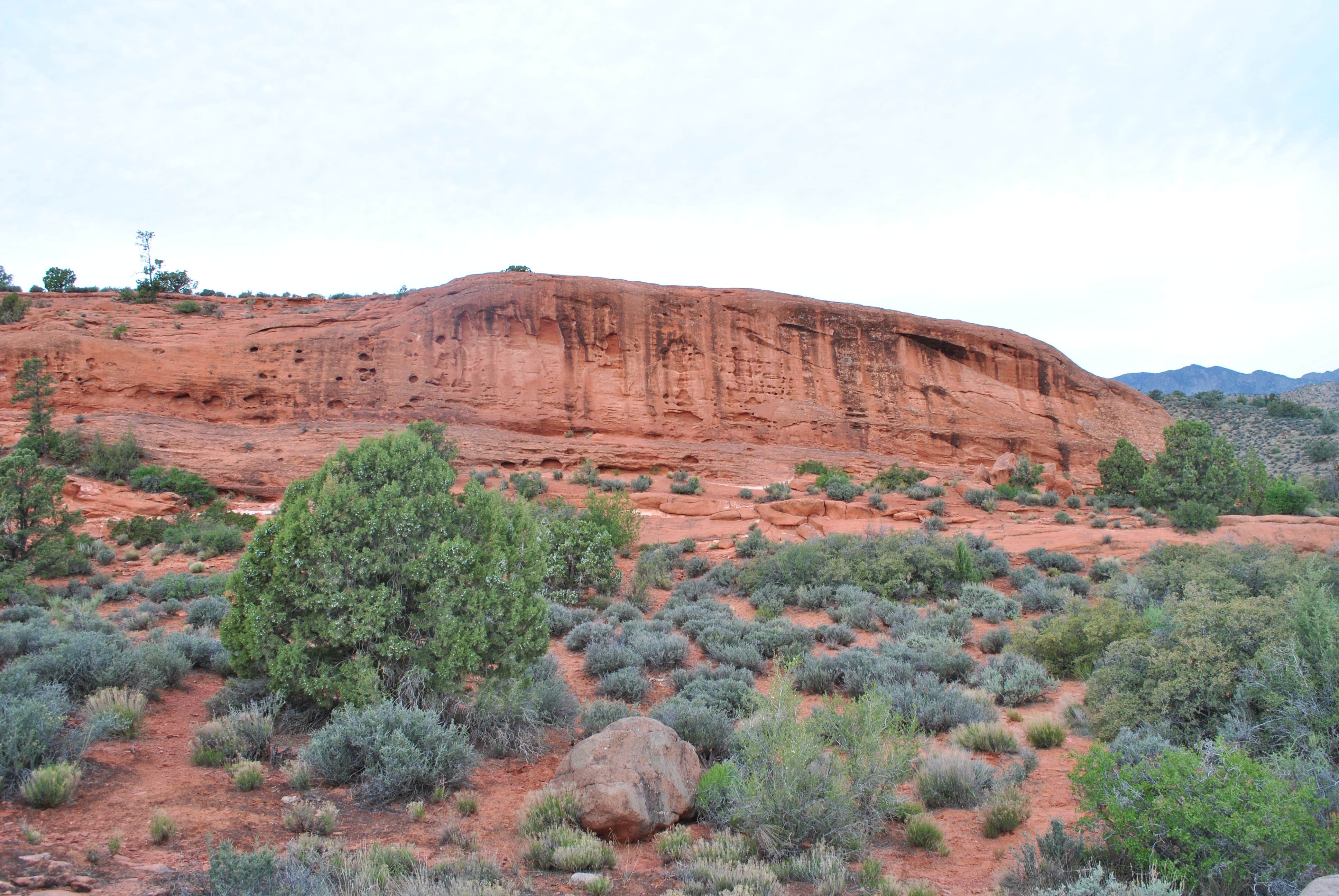 Dispersed Camping in Dixie National Forest - TEMPORARILY CLOSED | Pine ...