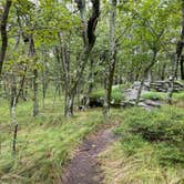 Review photo of Hanging Rock State Park Campground by Michael S., August 24, 2020