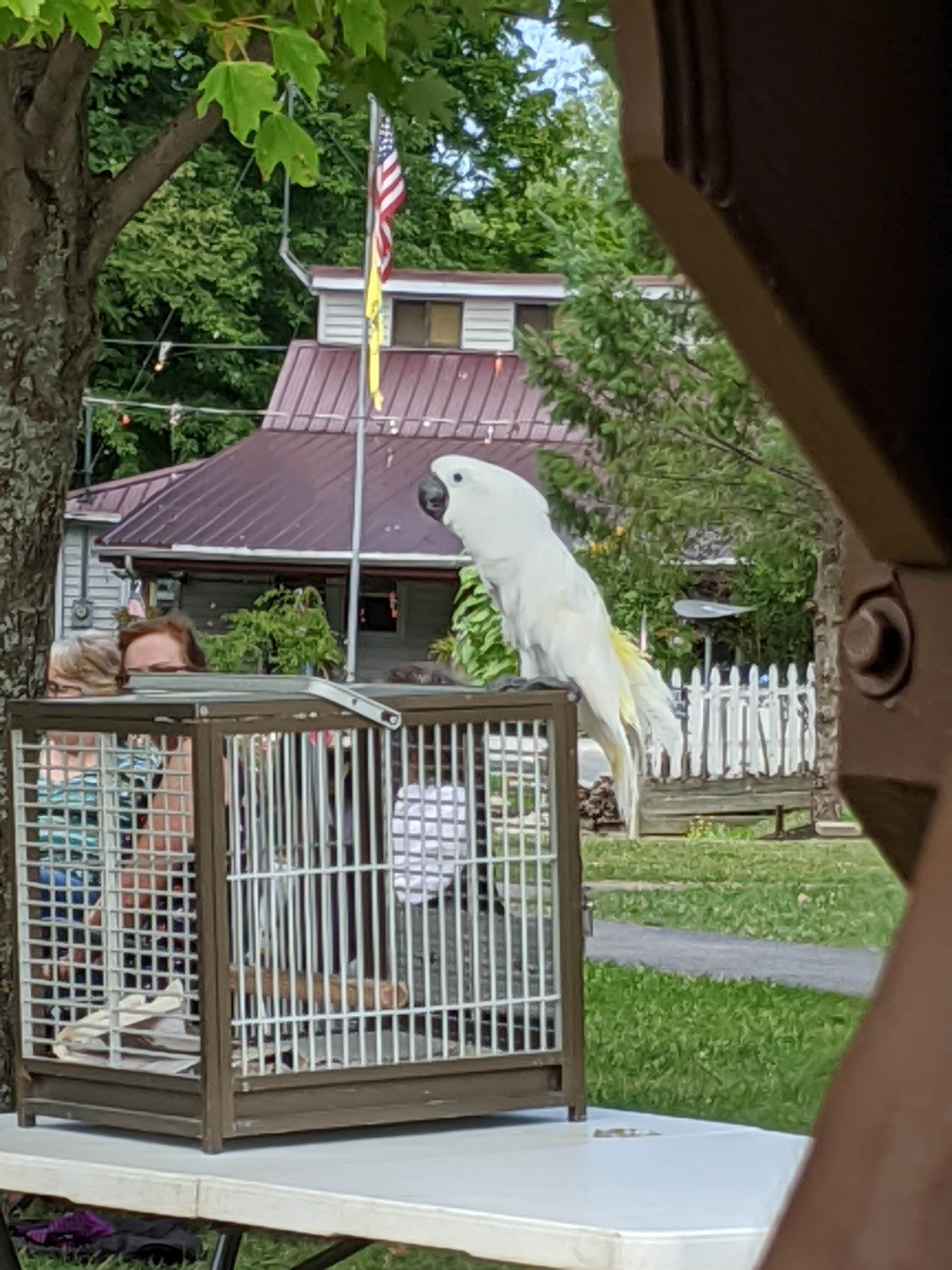 Camper-submitted photo at Conesus Lake Campground near Hunt, NY