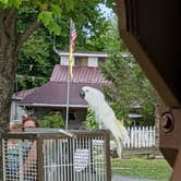 Review photo of Conesus Lake Campground by Sheri S., August 24, 2020