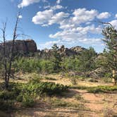 Review photo of Forest Service Road 700 Designated Dispersed Camping by madeleine B., August 24, 2020