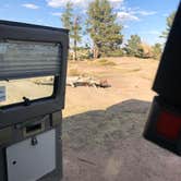 Review photo of Forest Service Road 700 Designated Dispersed Camping by madeleine B., August 24, 2020