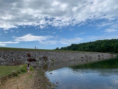 Camper submitted image from Shawnee State Park Campground - 5