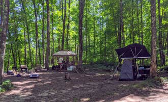 Camping near Tom's Lake Cabin: Ironjaw Lake Dispersed Campsite, Wetmore, Michigan