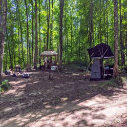 Ironjaw Lake Dispersed Campsite
