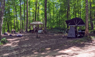 Camping near Tom's Lake Cabin: Ironjaw Lake Dispersed Campsite, Wetmore, Michigan