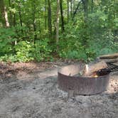 Review photo of A.W. Marion State Park Campground by Cassandra C., August 24, 2020