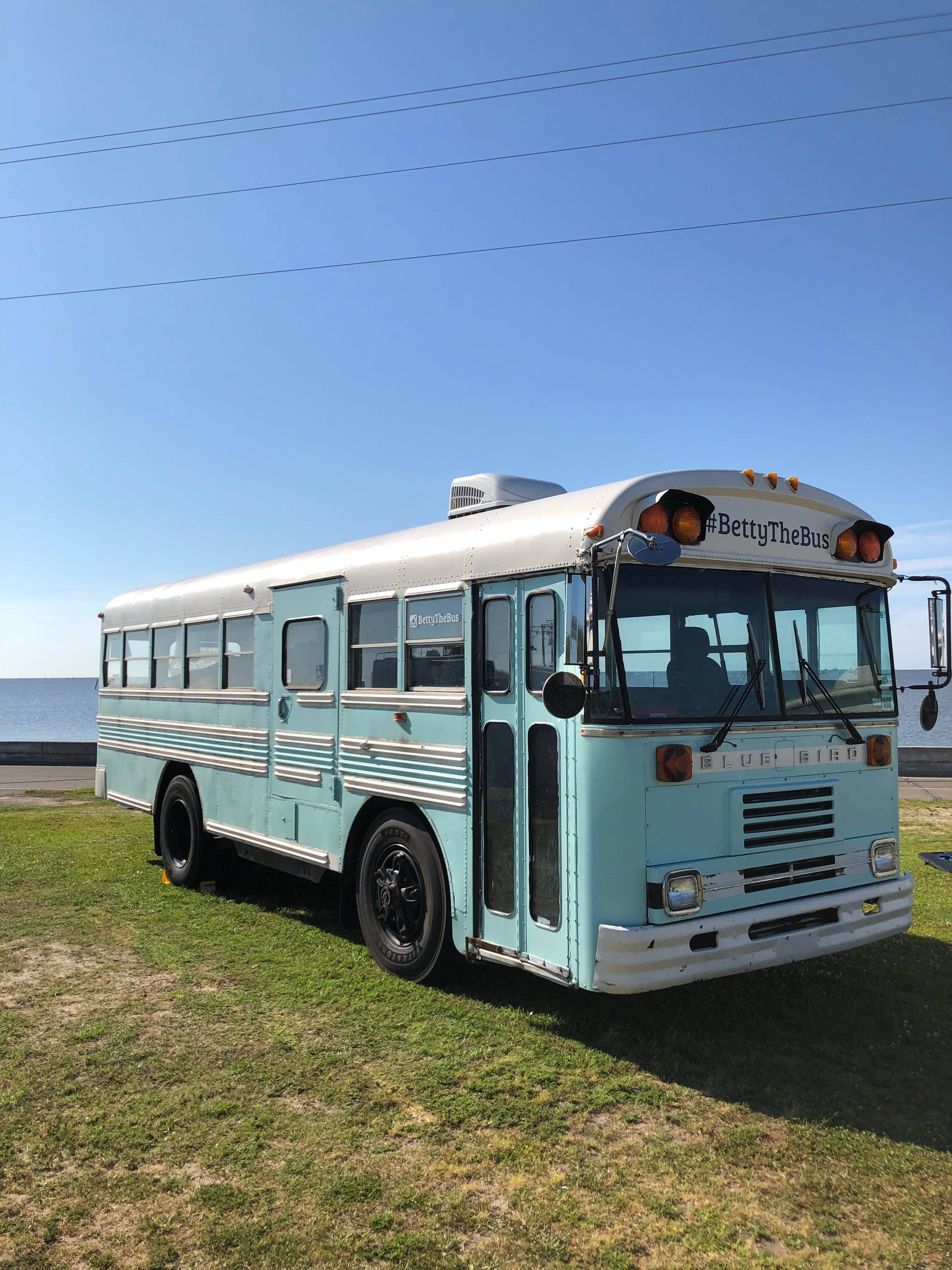 Camper submitted image from Buccaneer State Park Campground - 4
