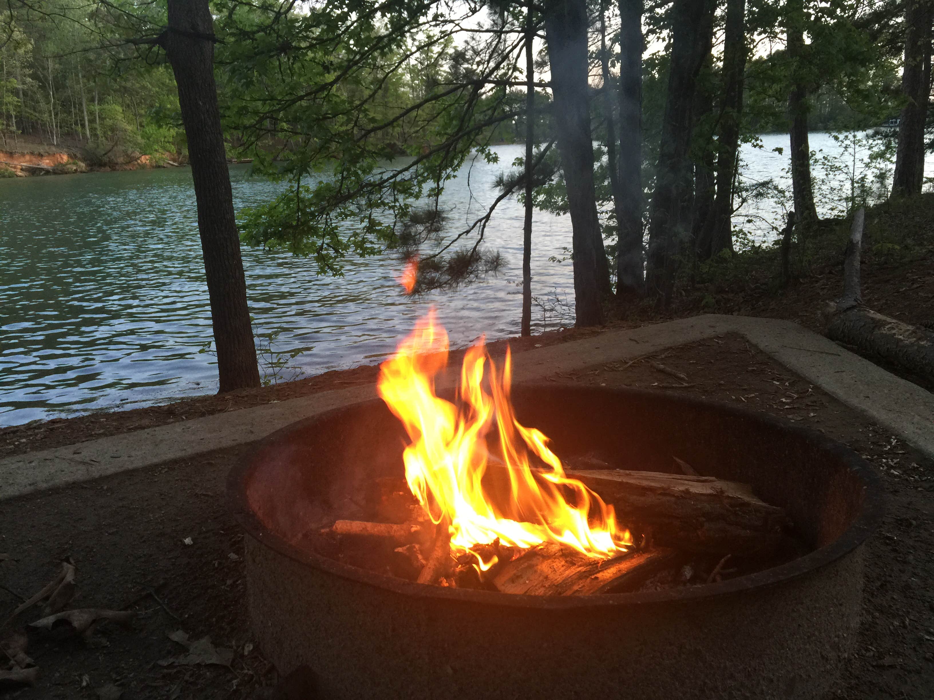 Dana P.'s photo at Van Pugh South Campground near Grayson, GA