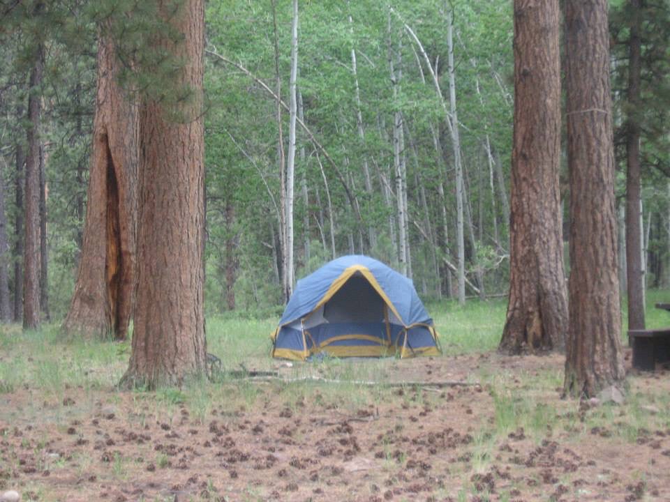 Camper submitted image from Ashley National Forest Uinta River Group Campground - 5