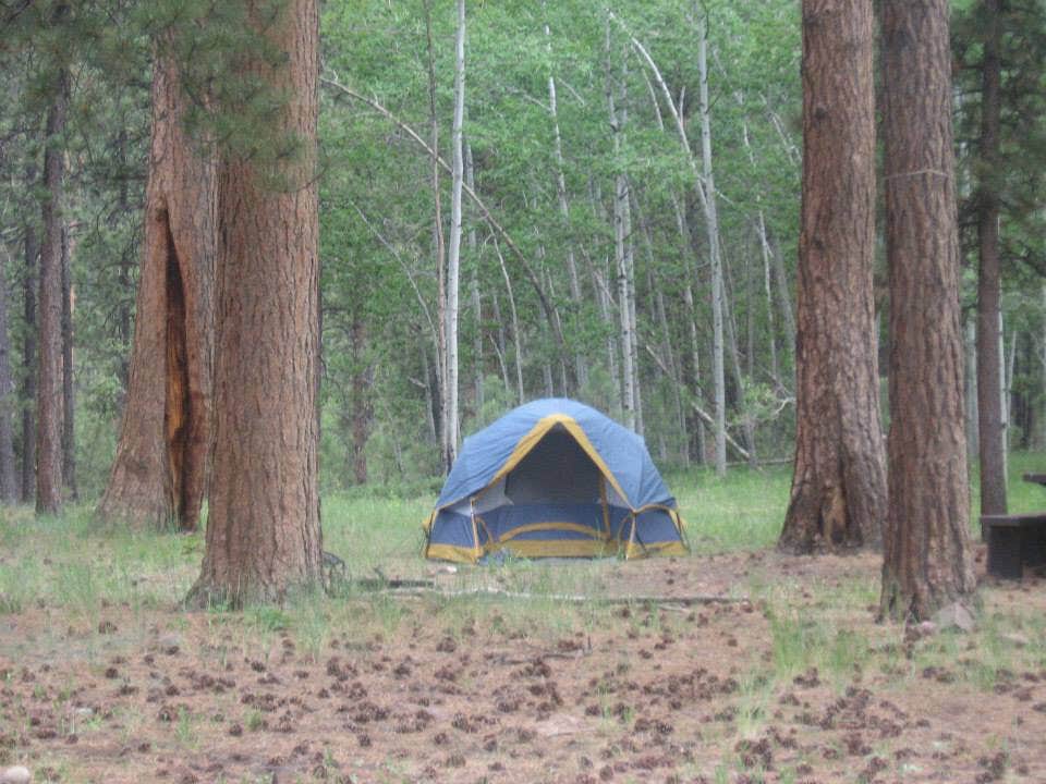 Campsites